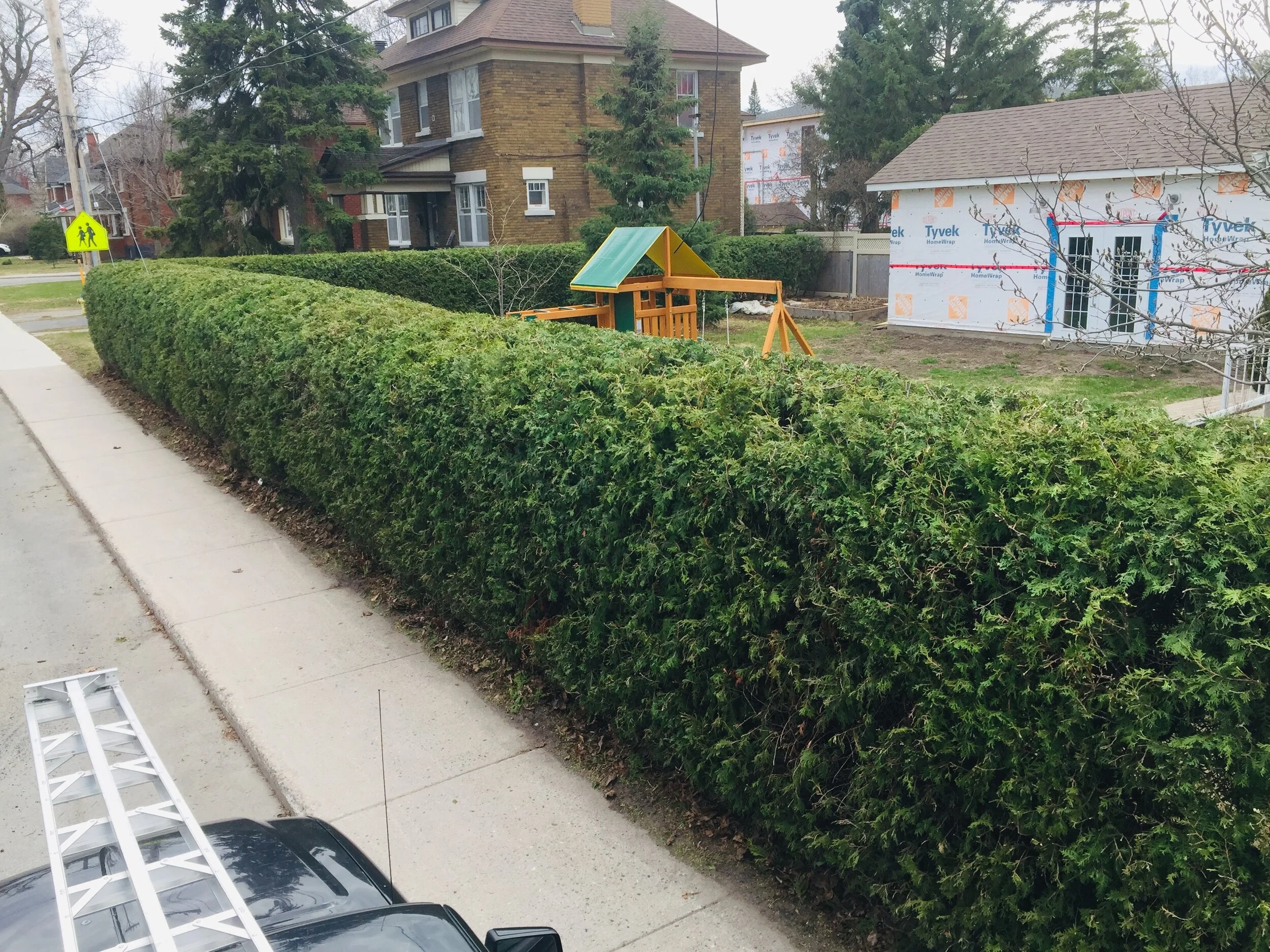 Services — Cedar Saber