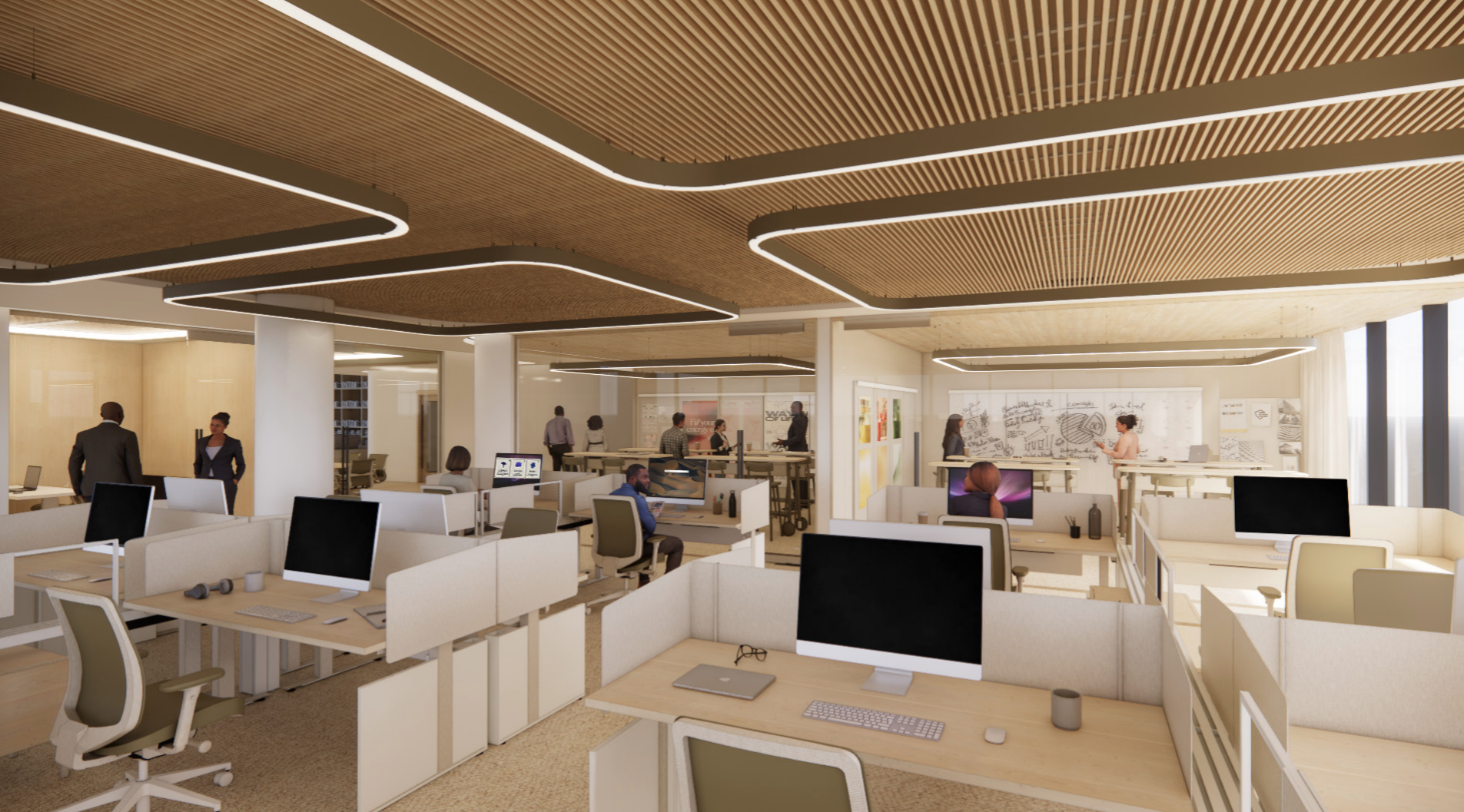 Graduate Studio D: Commercial