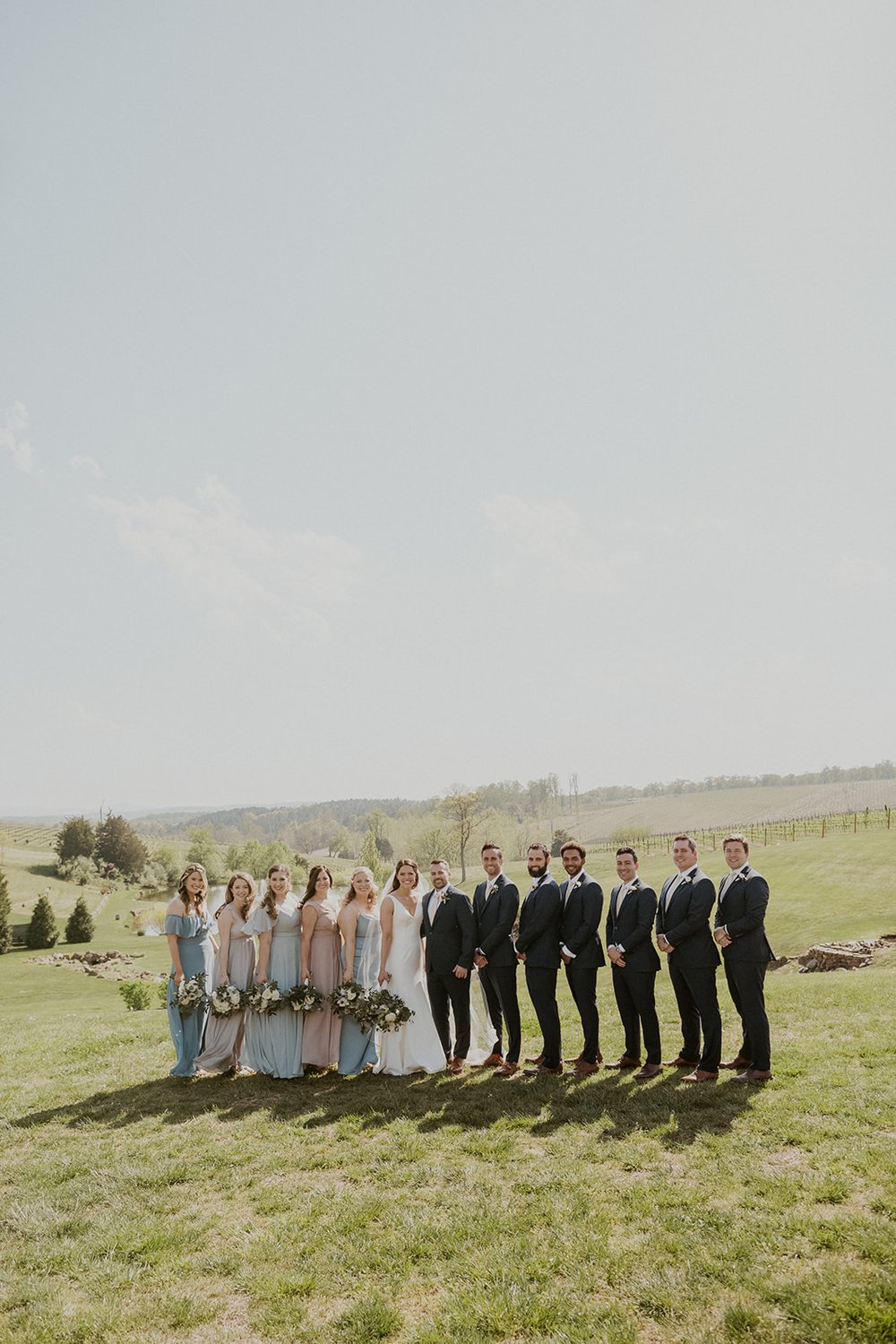 Entire wedding party with rolling hill backdrop.