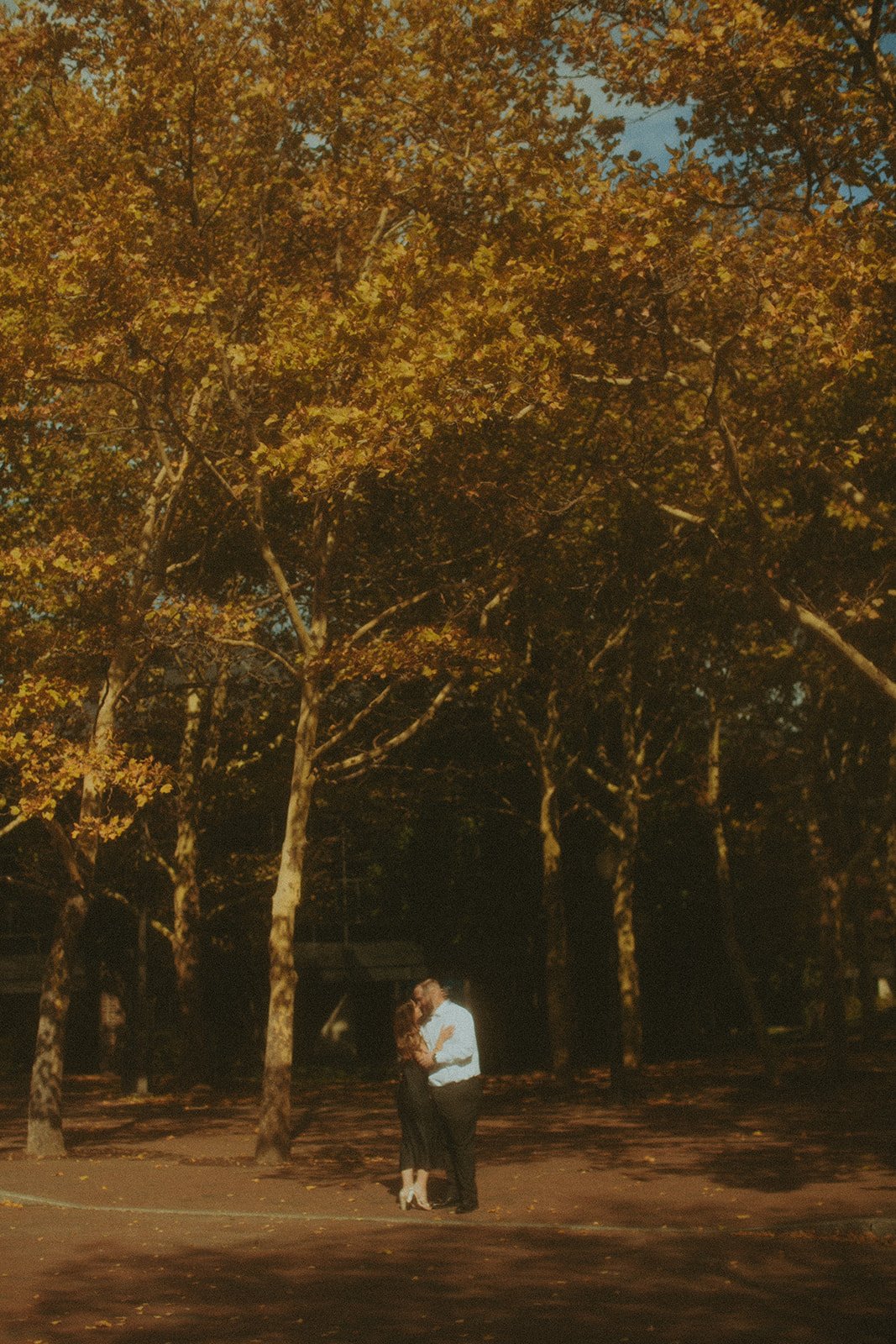 Couple standing infront of fall trees enjoying a kiss from one another.