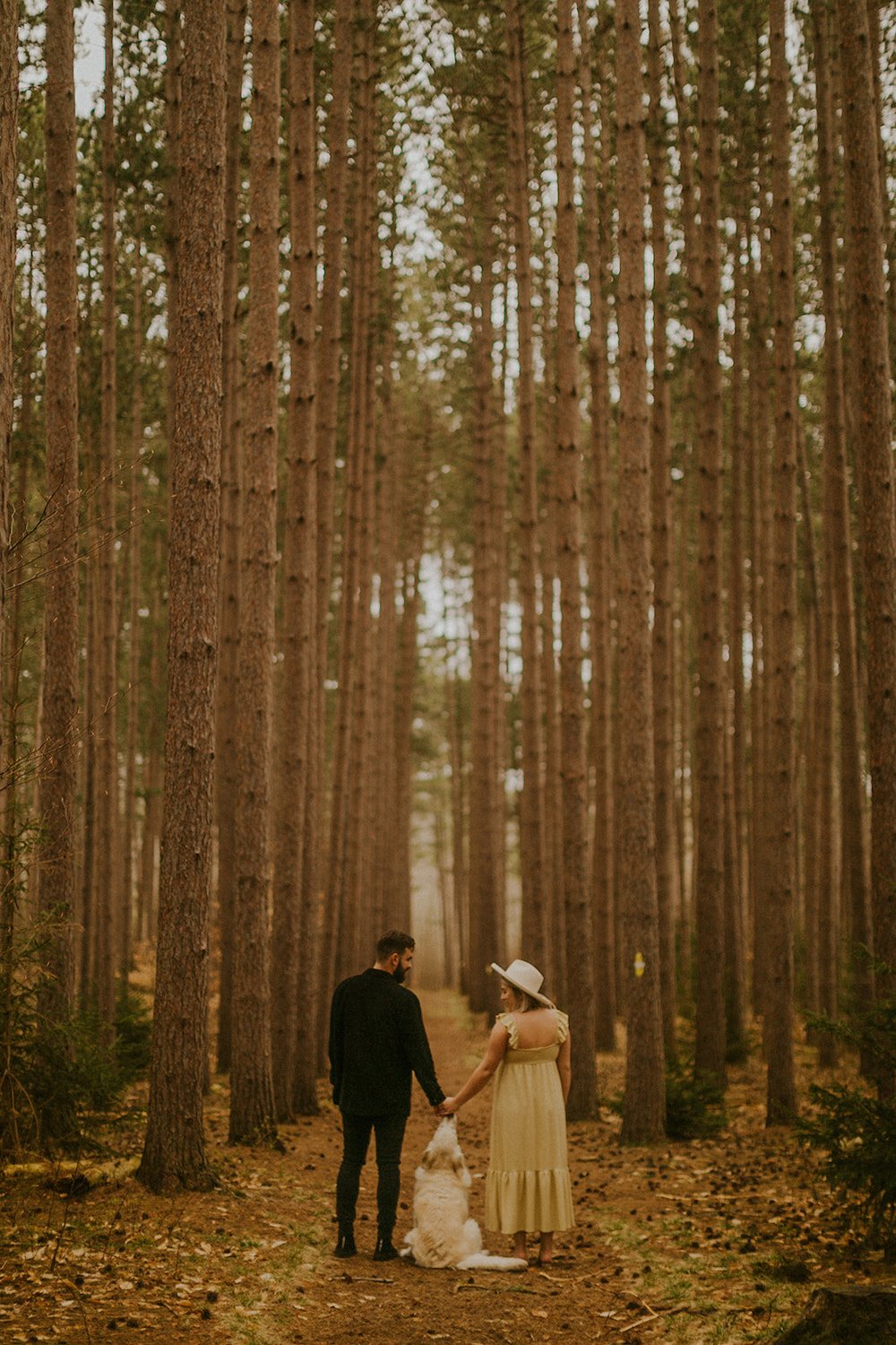 Couple admiring the woods while holding hands. Dog sitting between them.