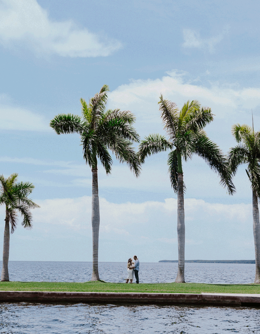 Couple stands afar with the view of palm trees and the ocean