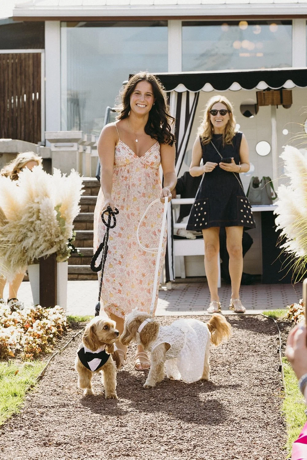 The family dogs walk the aisle with their wedding bands. 
