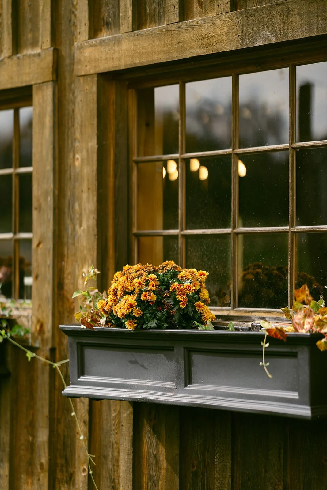 Window box florals decorated around the wedding venue. 