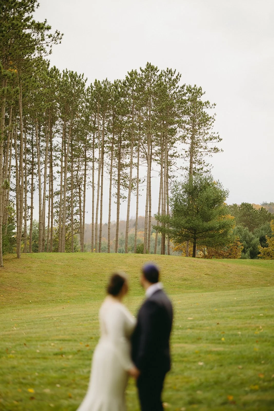 The bride and groom hold hands while admiring the scenery. 
