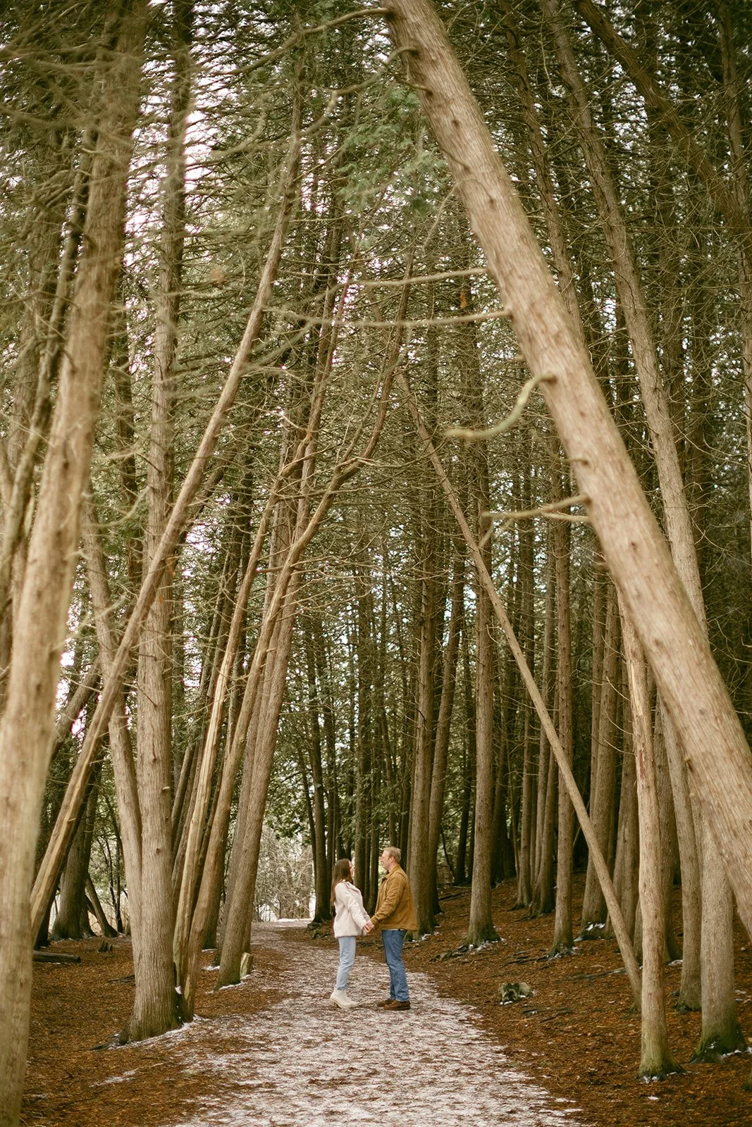 A couple stands on a leaf-covered path surrounded by tall, closely spaced trees in a forest for winter engagement photos at Green Lakes State Park