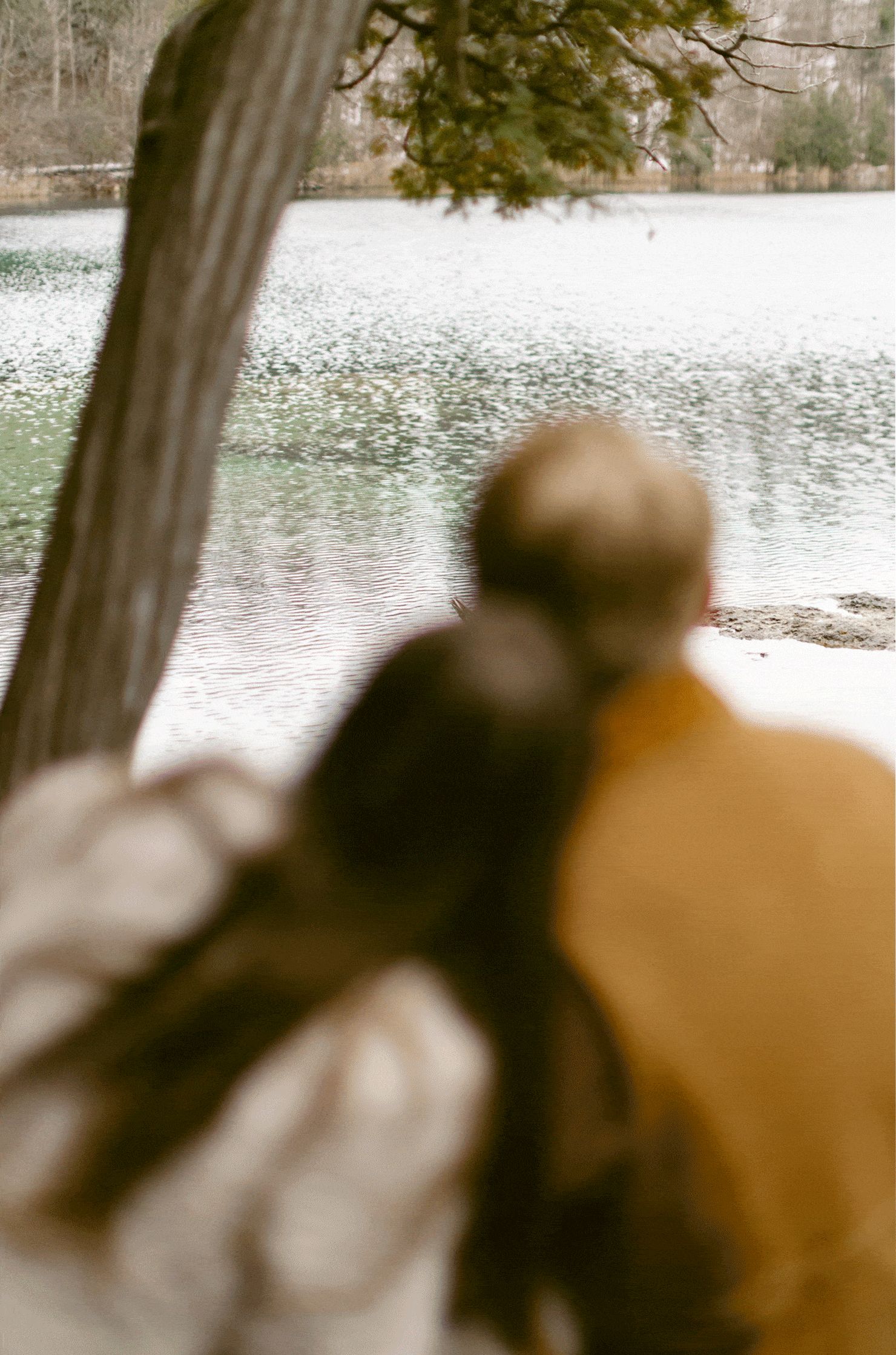 Two people with their backs to the camera sit closely together on a bench, overlooking a calm lake surrounded by trees for winter engagement photos