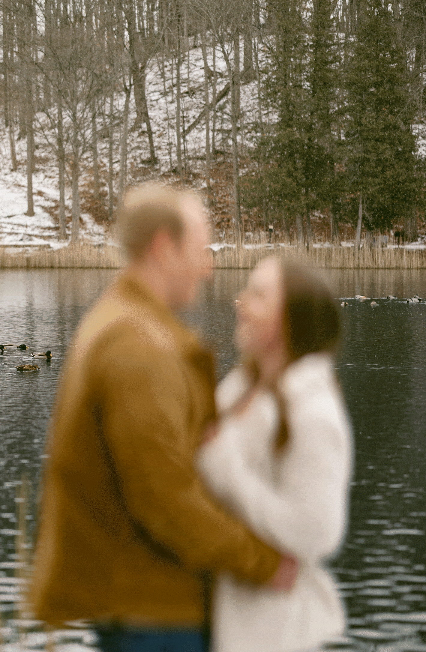 Two people with their backs to the camera sit closely together on a bench, overlooking a calm lake surrounded by trees for winter engagement photos