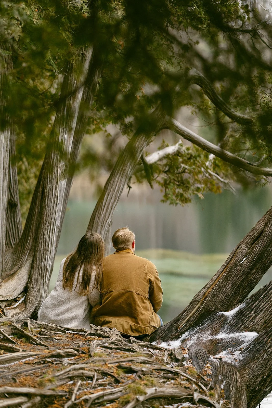 A couple sits close together on tree roots by a lakeshore, surrounded by tall trees and greenery.