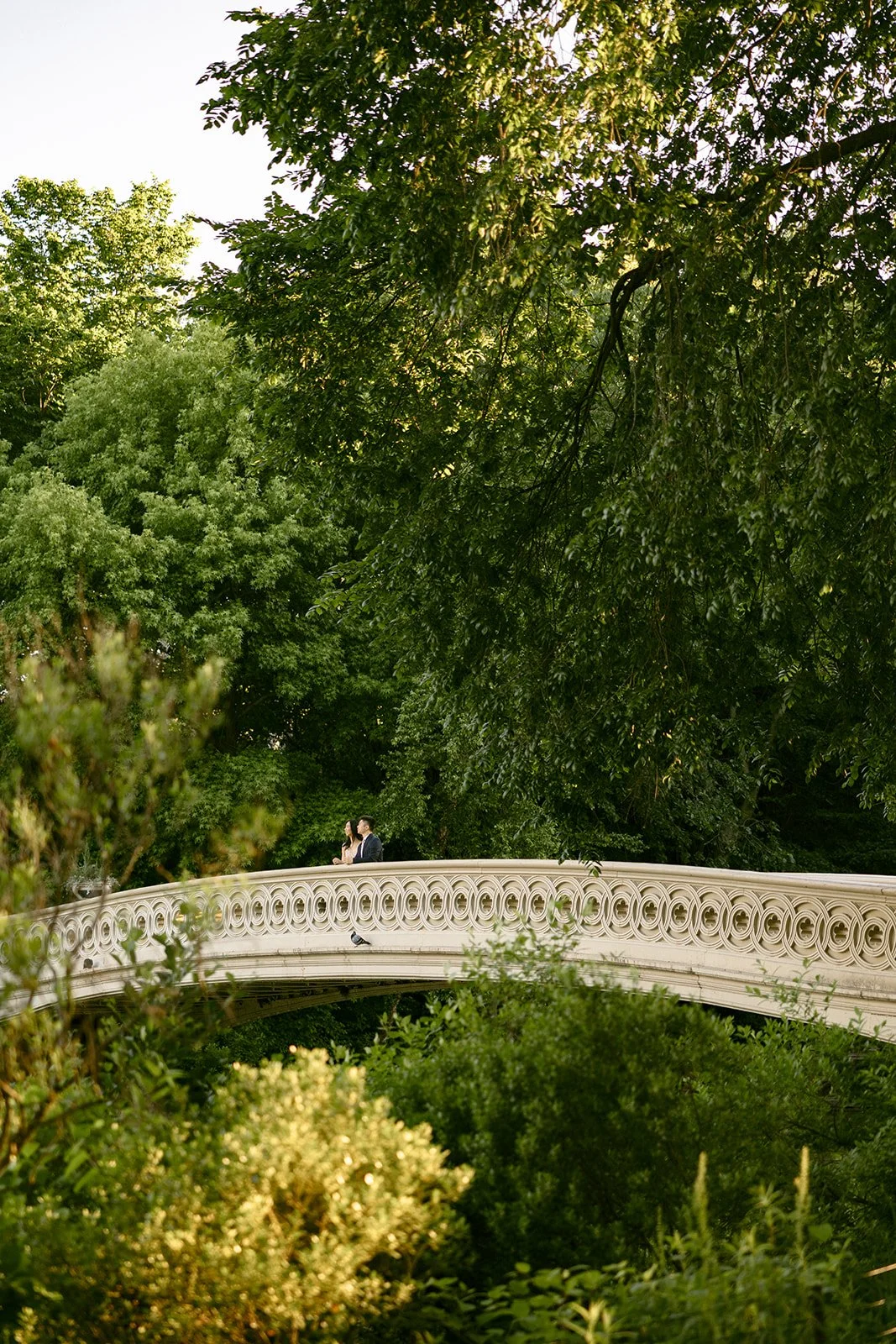 A couple stands close together on a stone bridge, partially obscured by green leafy trees and branches for central park engagement photos