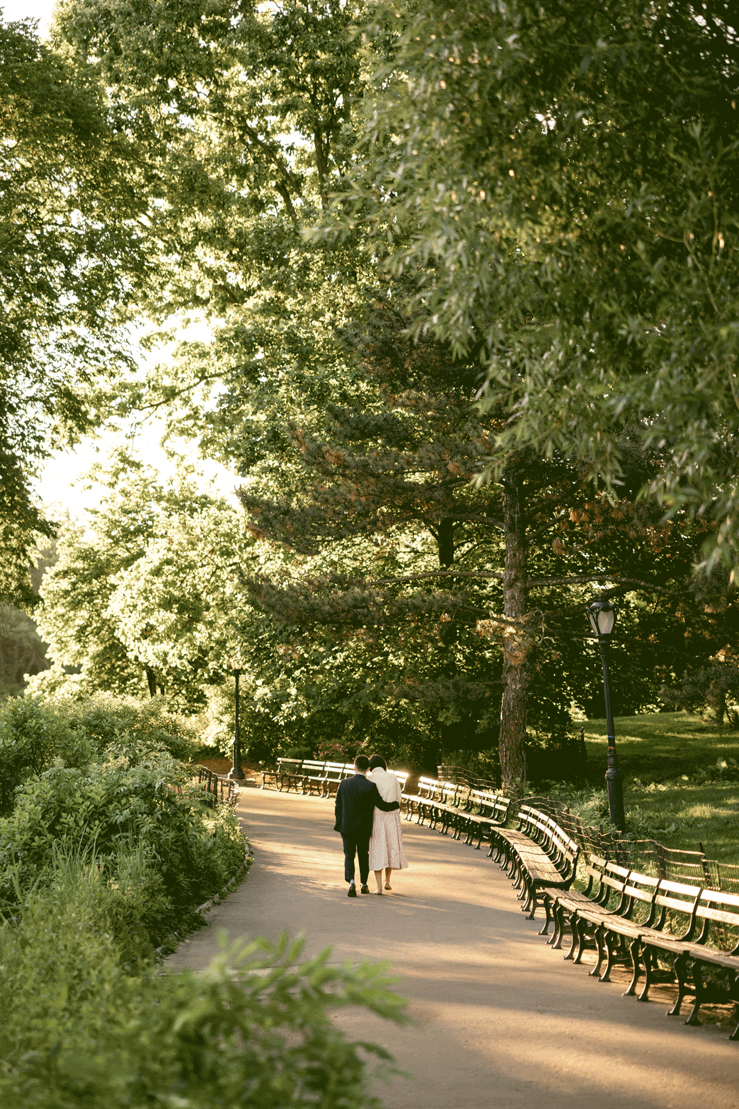 An elderly couple walks arm in arm down a tree-lined park path, surrounded by green foliage and empty benches on a sunny day.