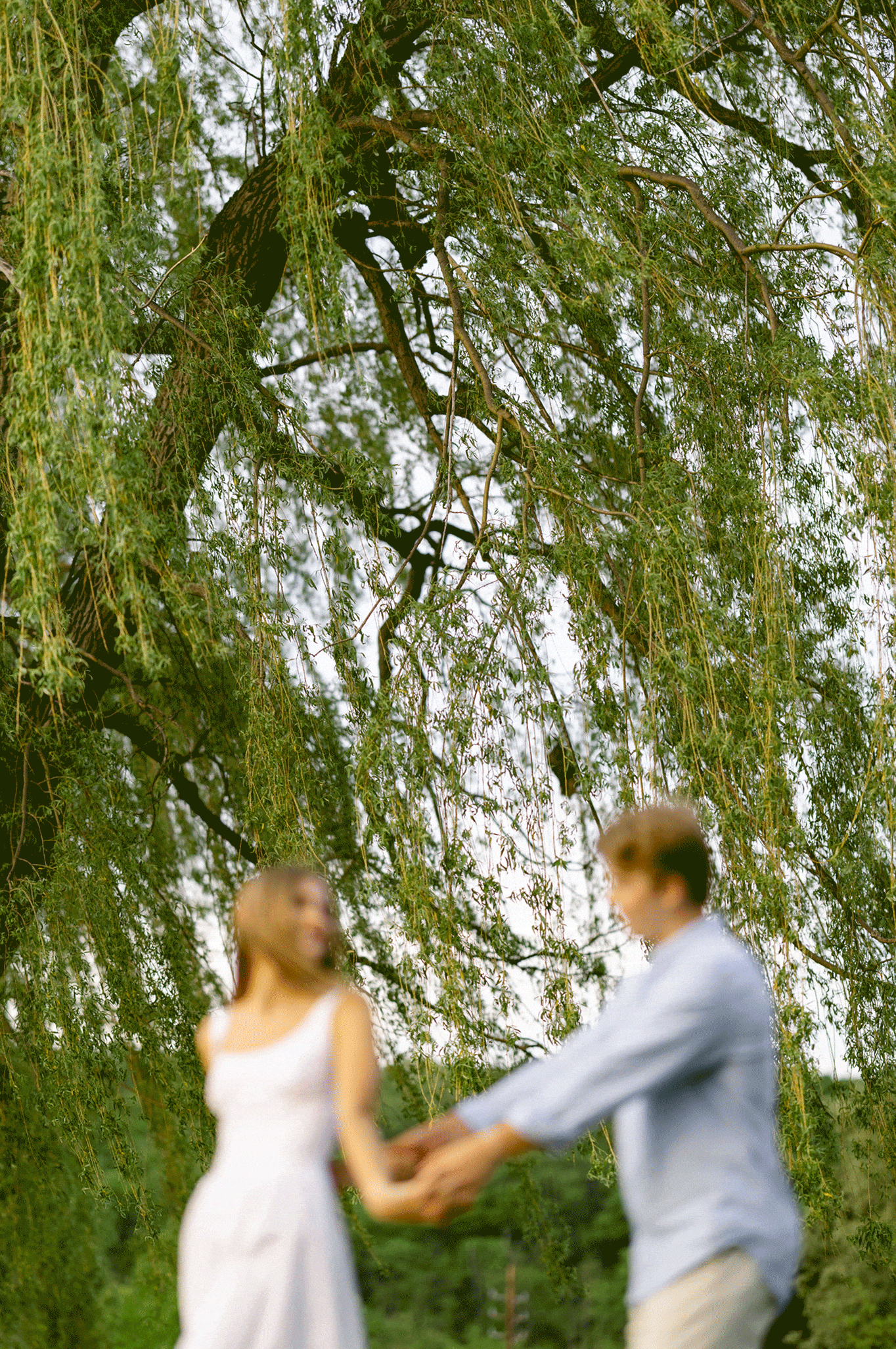 A woman in a white dress and a man in a blue shirt hold hands outdoors, with a large willow tree and greenery in the background for outdoor engagement photos