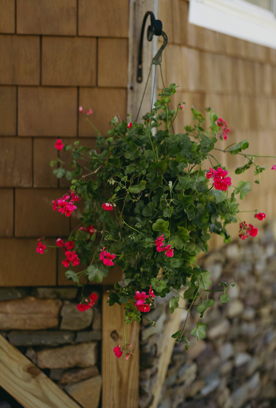 earthy-and-romantic-catskills-wedding-at-full-moon-resort-madi-and-eric-68.gif