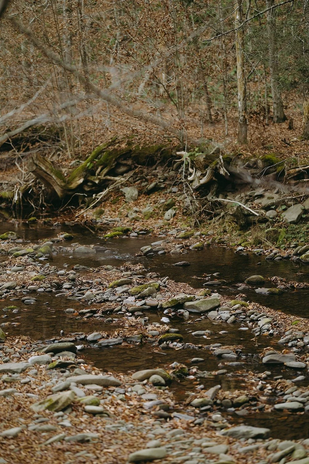 earthy-and-romantic-catskills-wedding-at-full-moon-resort-madi-and-eric-44.jpg