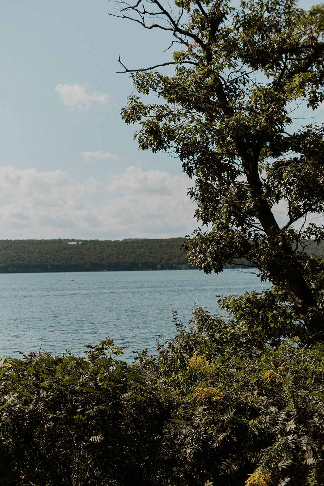 classic-lakeside-wedding-at-wagner-vineyards-on-seneca-lake-zoe-and-mike-9.jpg