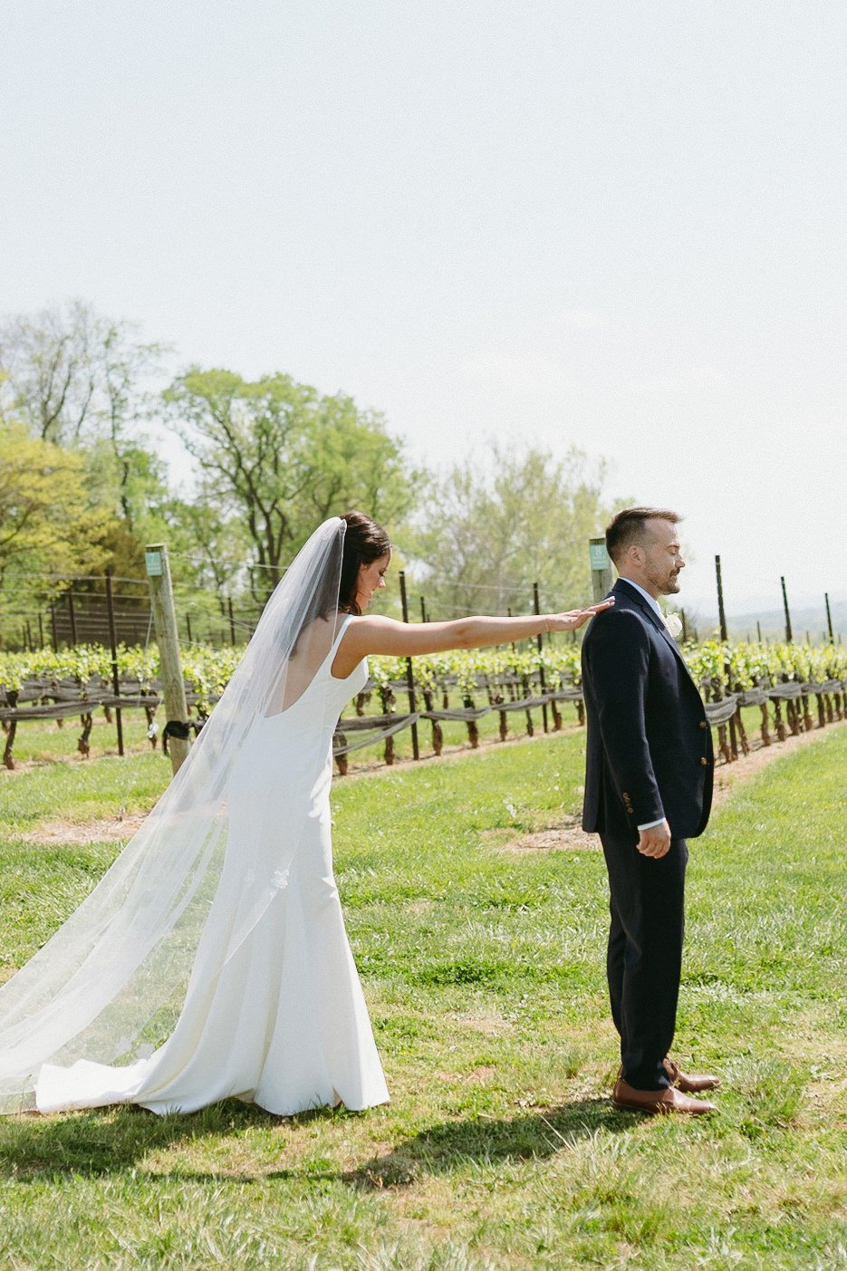 A bride in a white dress and veil approaches a groom in a dark suit from behind in an outdoor vineyard setting.