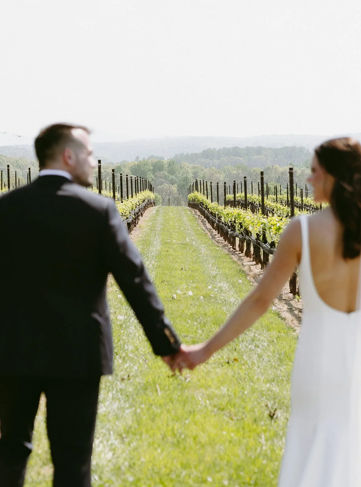 A bride and groom hold hands, walking down a grassy path between vineyard rows on a sunny day.