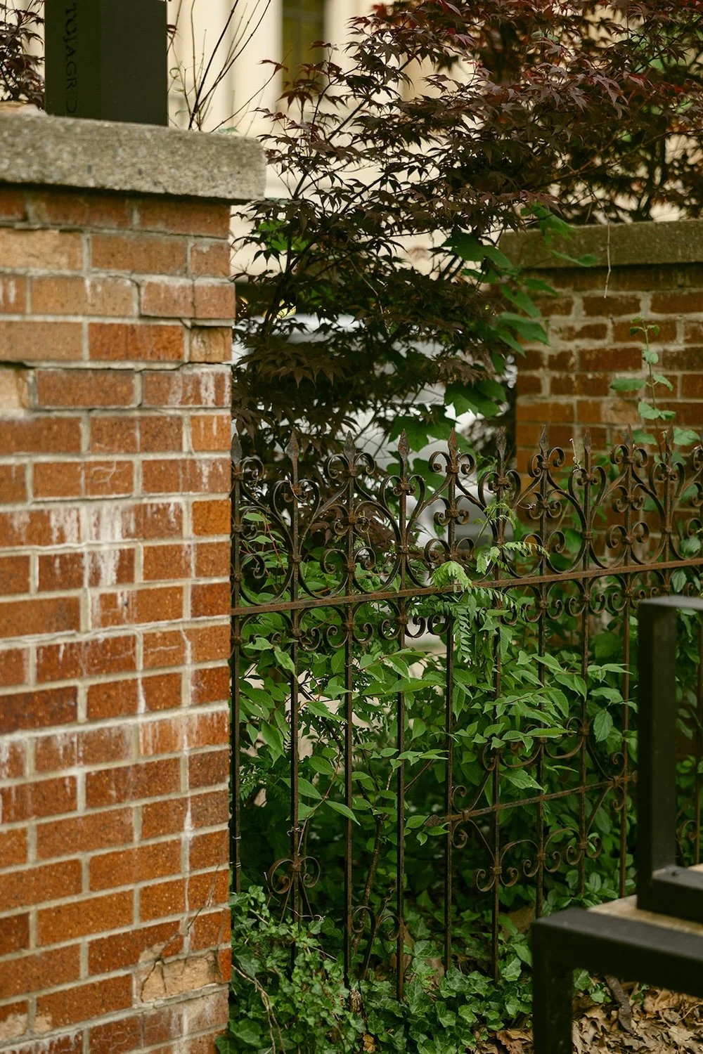 playful-summer-engagement-photos-in-downtown-utica-ny-114.jpg