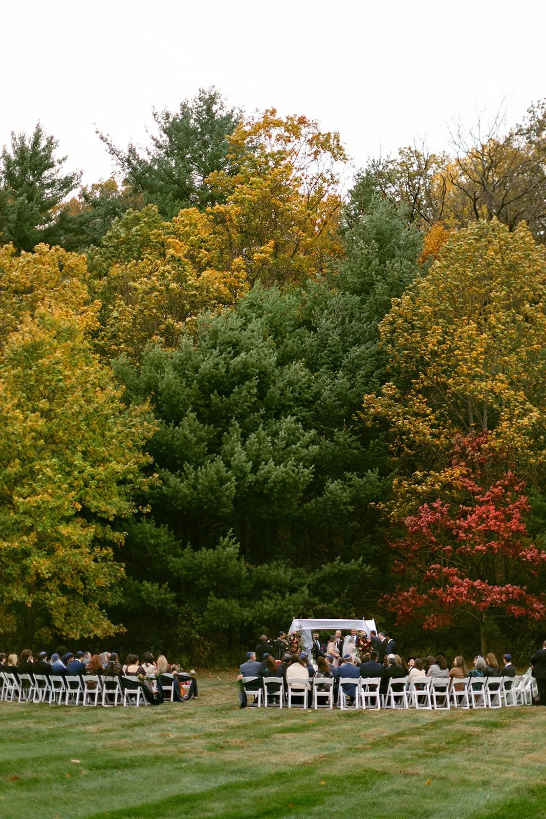 View of the guests and wedding party at the chuppah during their wedding ceremony.