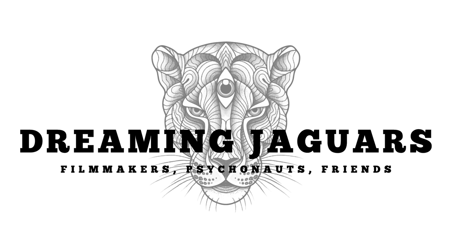 Dreaming Jaguars