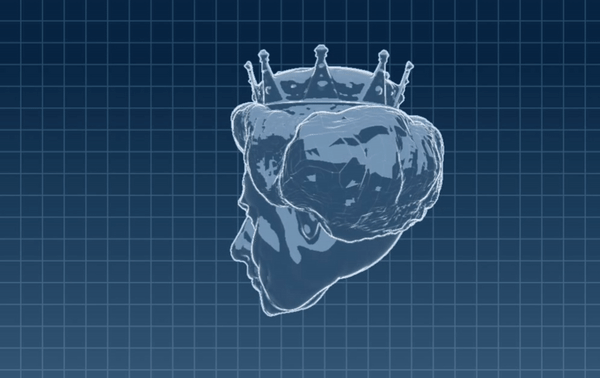 ezgif.com-gif-maker copy.gif