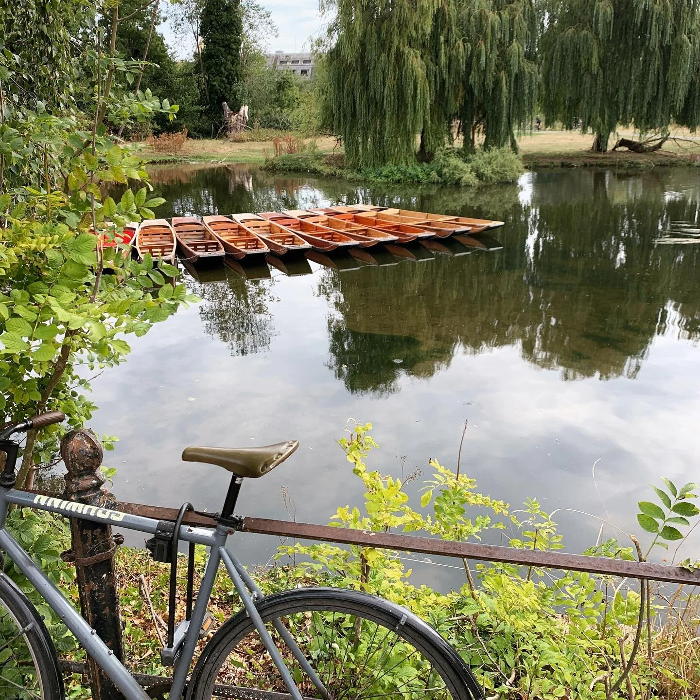 The view just outside Darwin College, and our lovely drawn room #darwincollege #darbar #cambridge #universityofcambridge