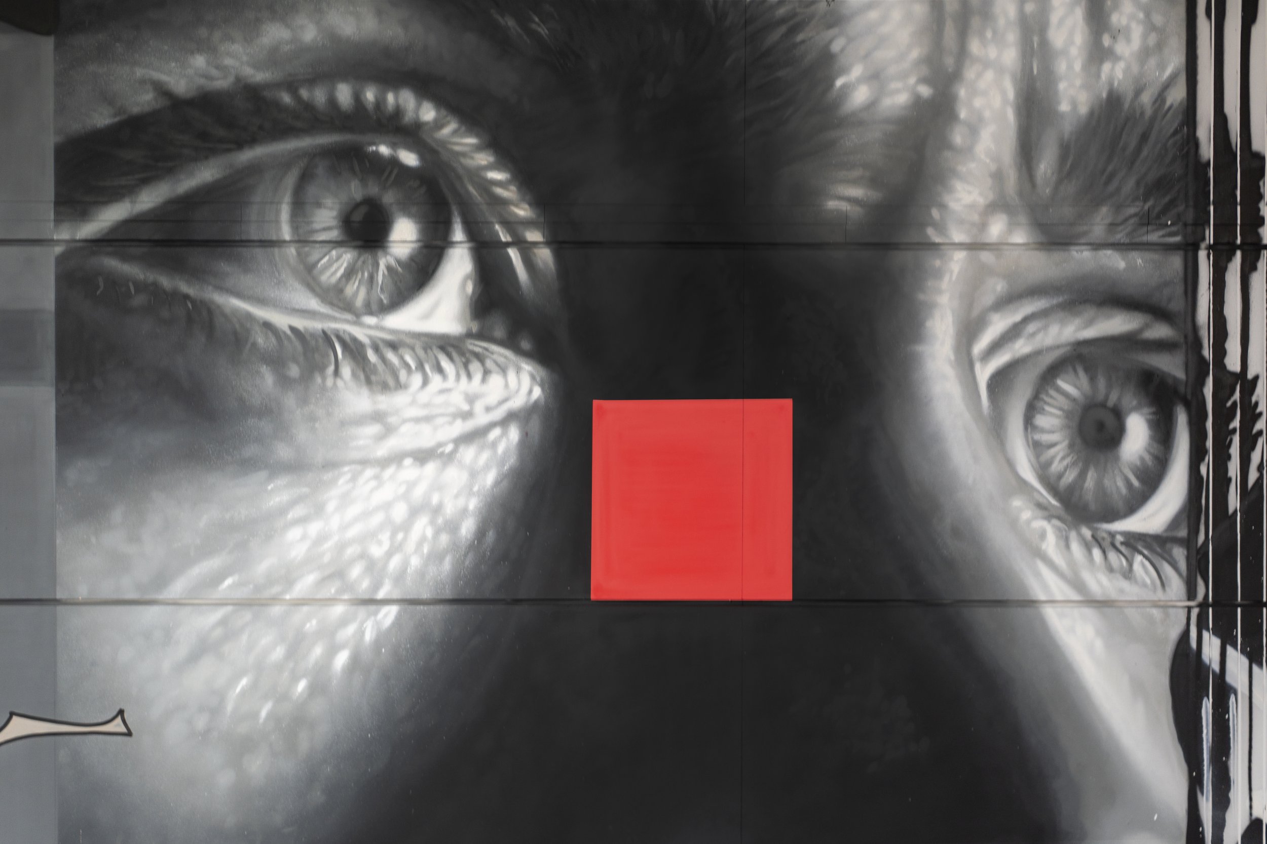 zoo1_0010_Layer 16.jpg