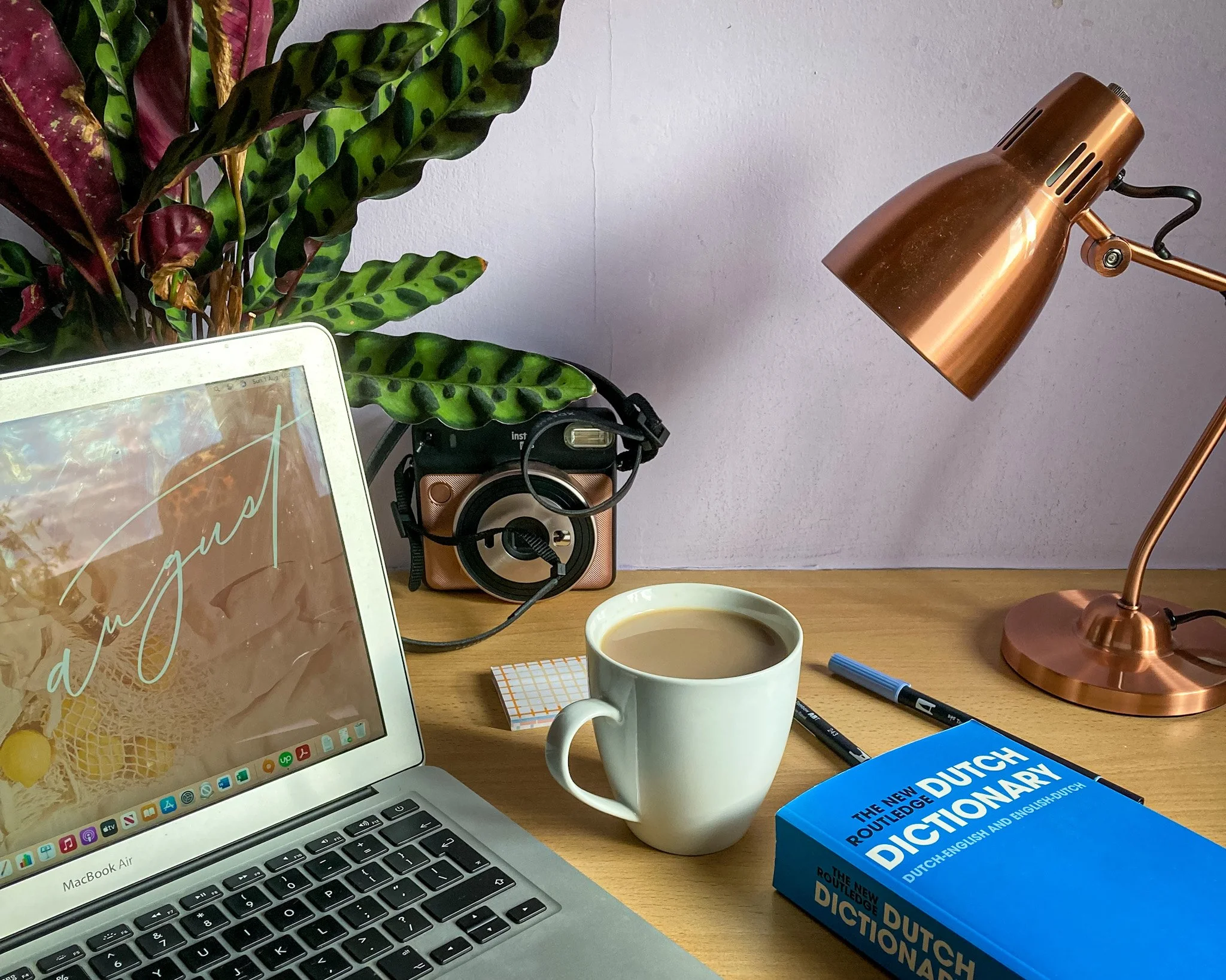 A desk shot featuring a mug of coffee, a Dutch dictionary, a desk lamp, a Polaroid camera, a plant and a laptop computer.