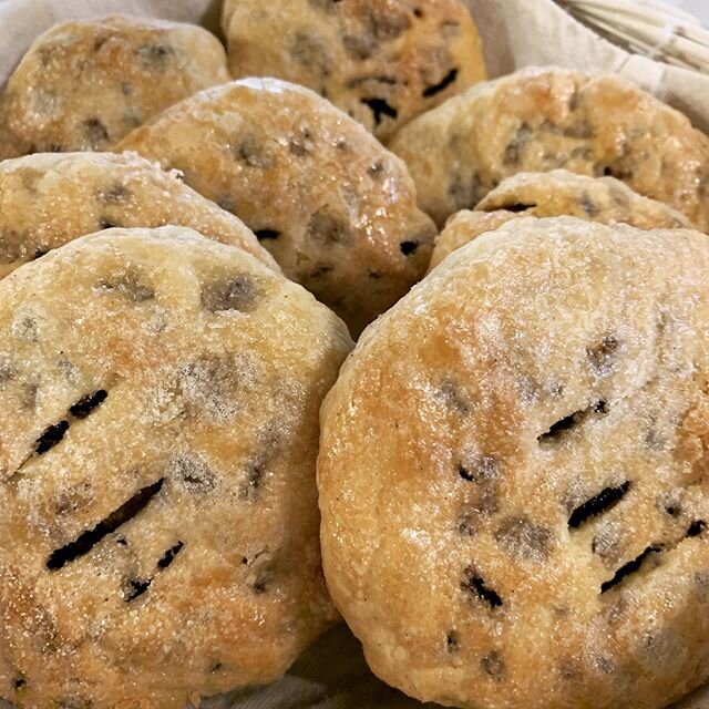 Eccles cakes.
#bakedgoods #currants #ecclescakes #eatlocal #shoplocal #uppingham #bakery