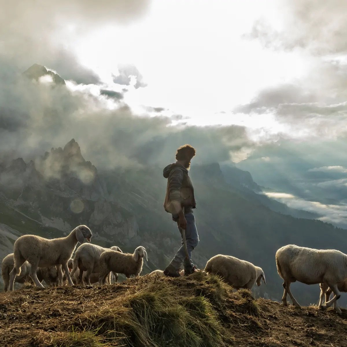 The Lord is My Sheep