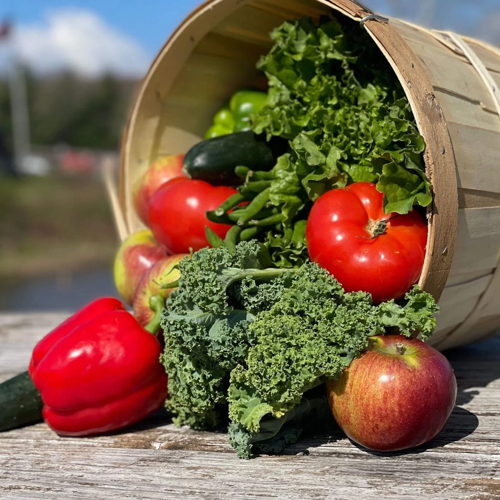 Abundance from “Scarcity”