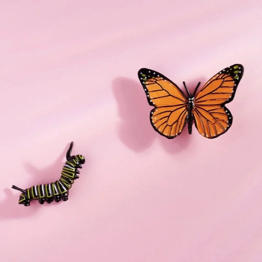 Transformed by the Renewal of Community