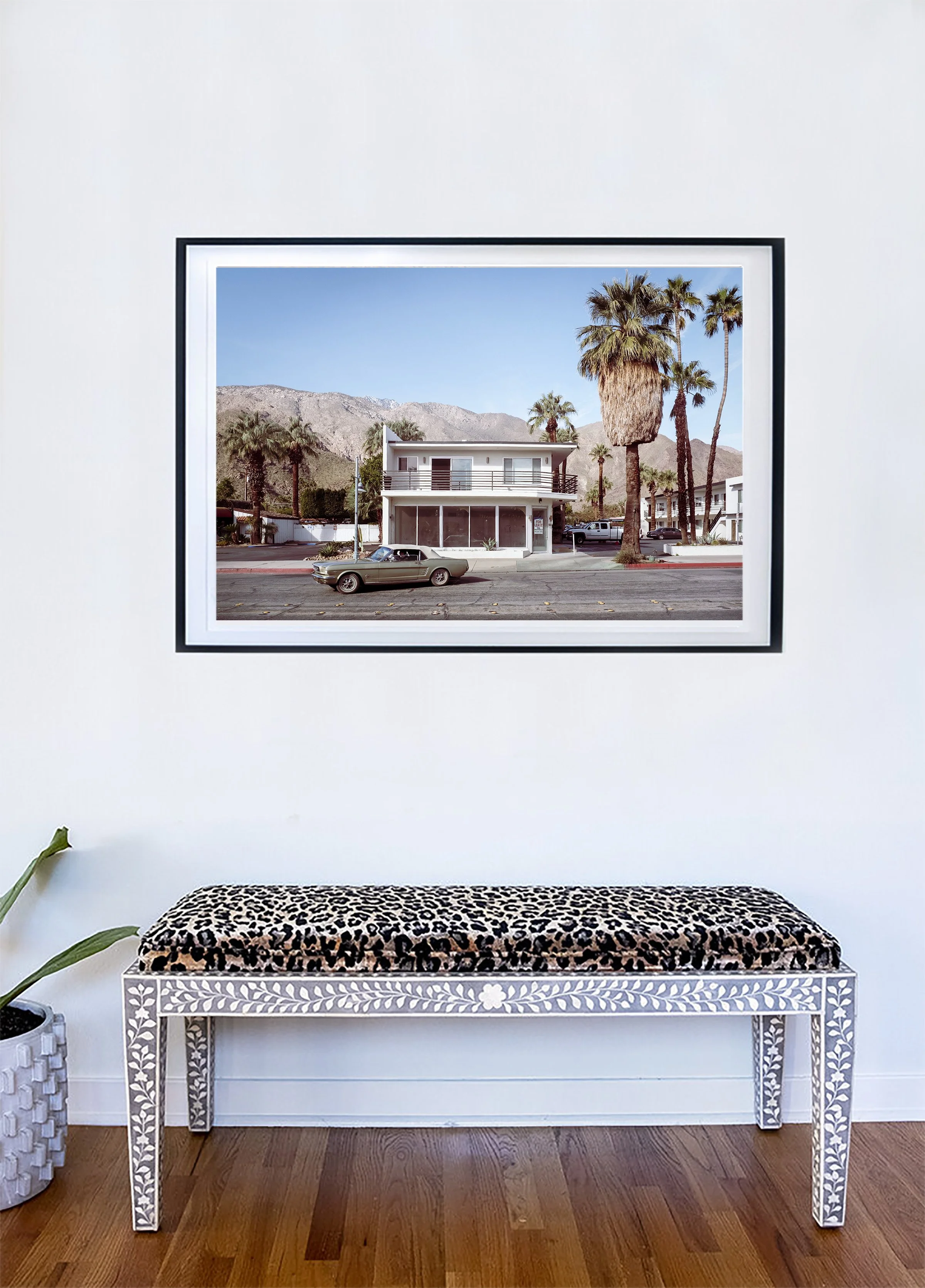 PALM CANYON DRIVE.HOR.Wall.jpg