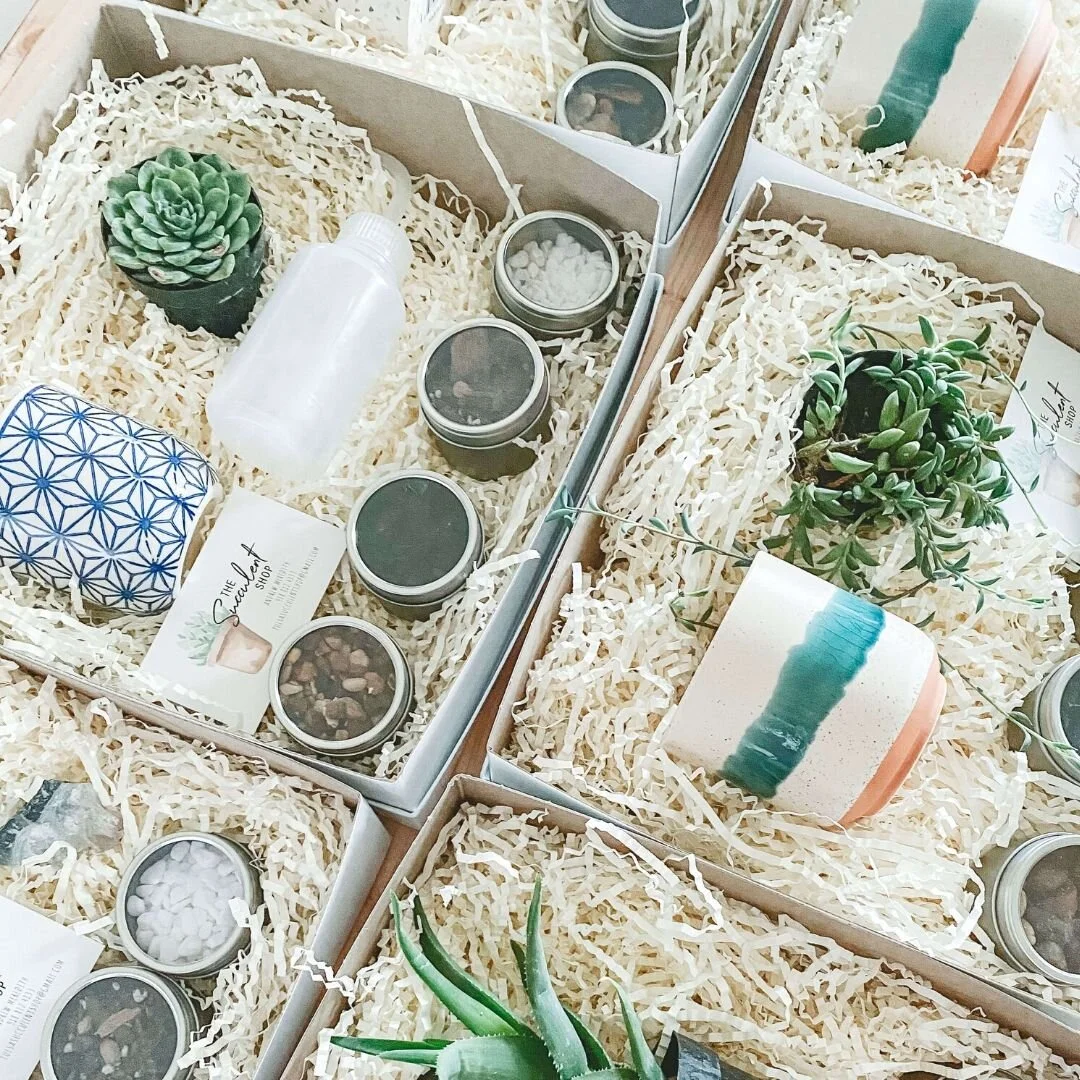 Build Your Own Succulent Kit  The Succulent Shop