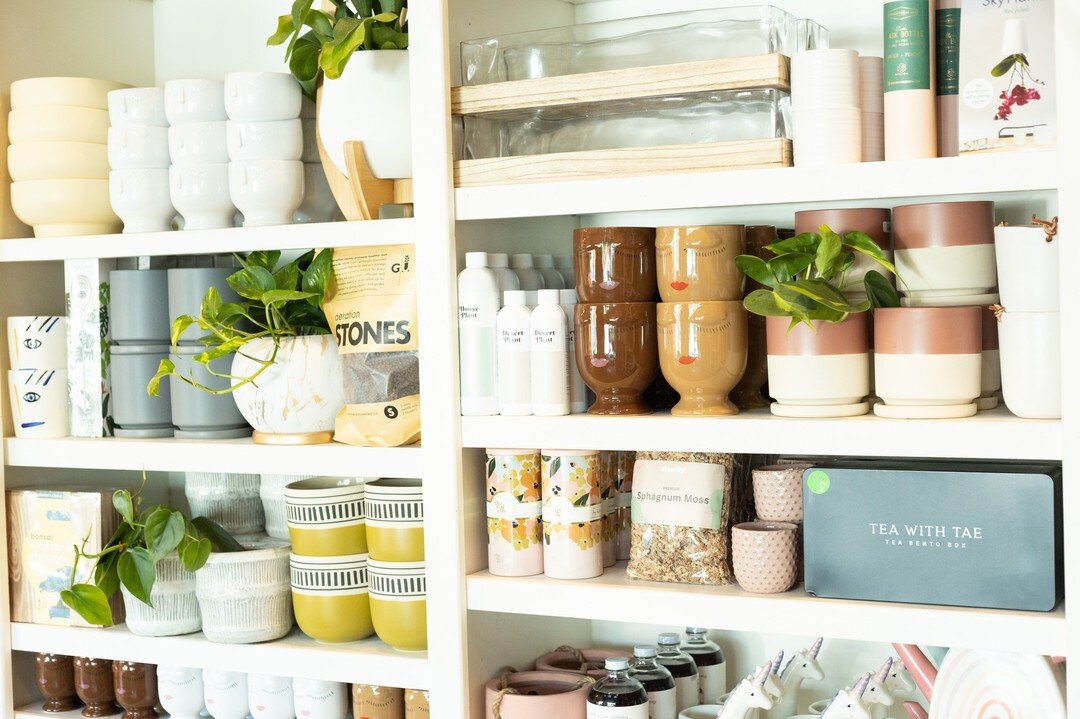 Did you know we're more than just a plant shop? We have a variety of pots to choose from as well as a unique selection of gifts and accessories! 🥰