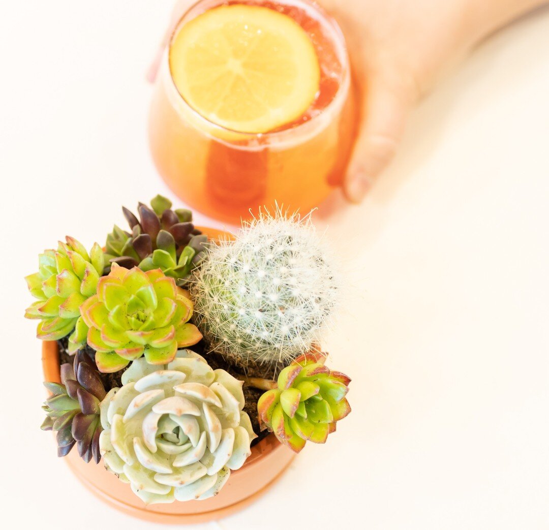 Plants AND drinks?! Yes, please! 🤩