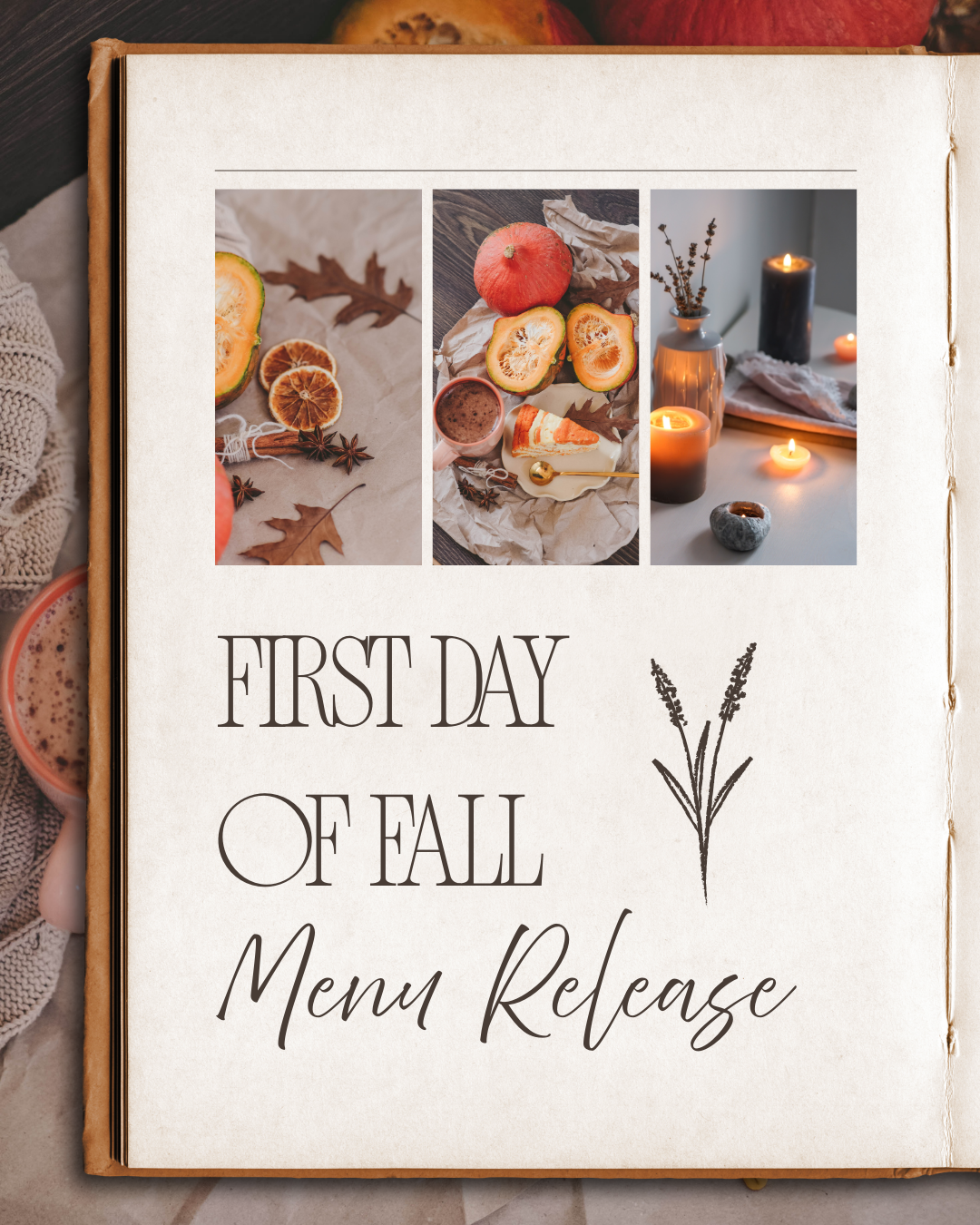 Fall Menu Release