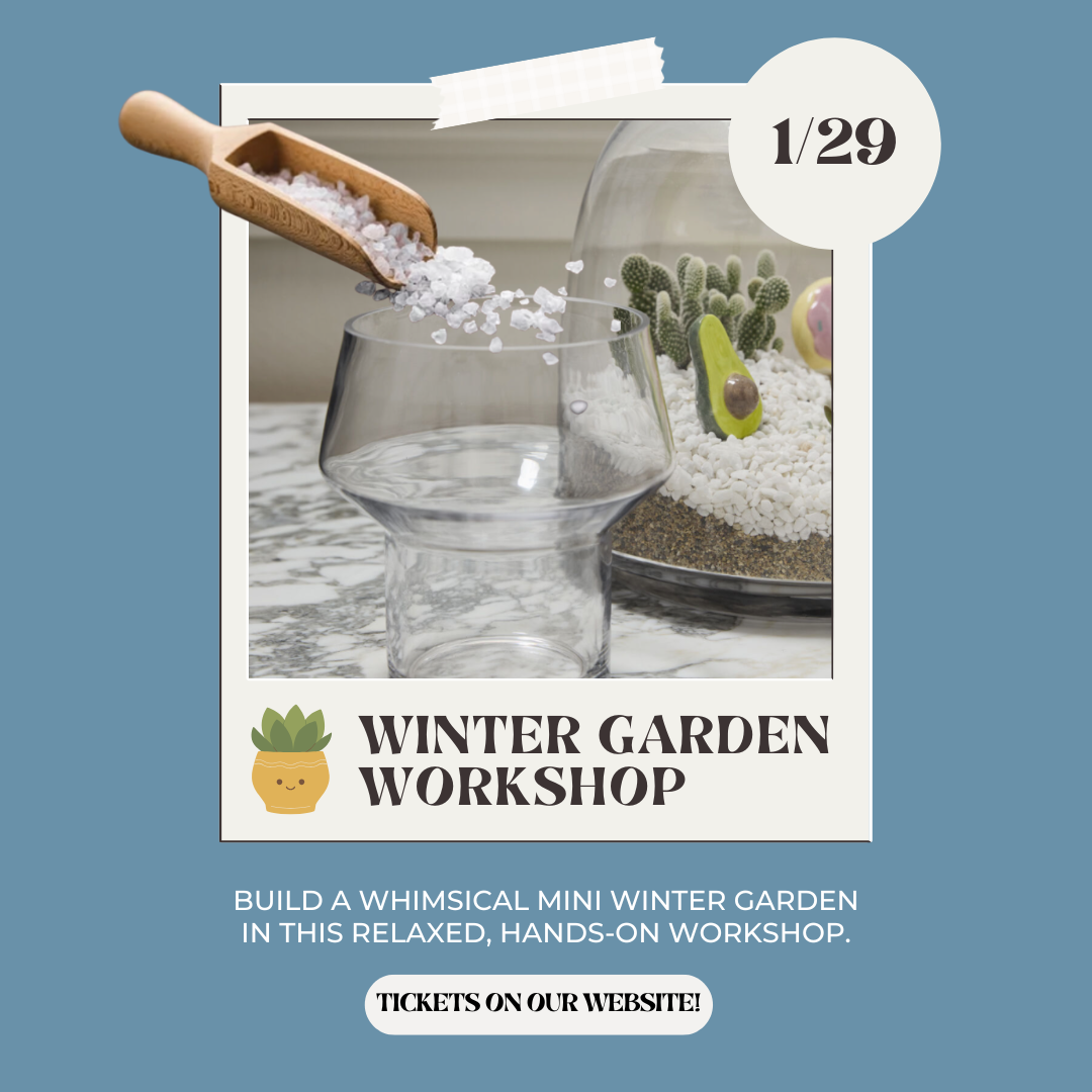 Winter Garden Workshop