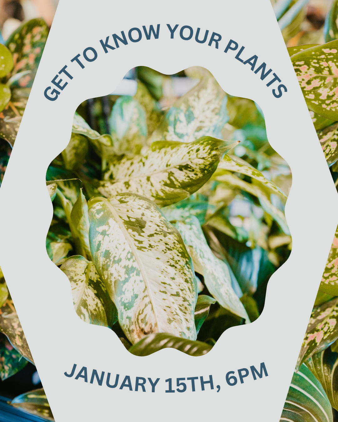 Get to Know Your Plants Workshop