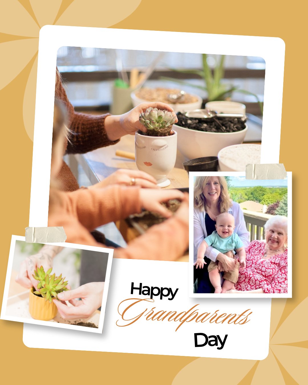 Grandparents Day at The Shop