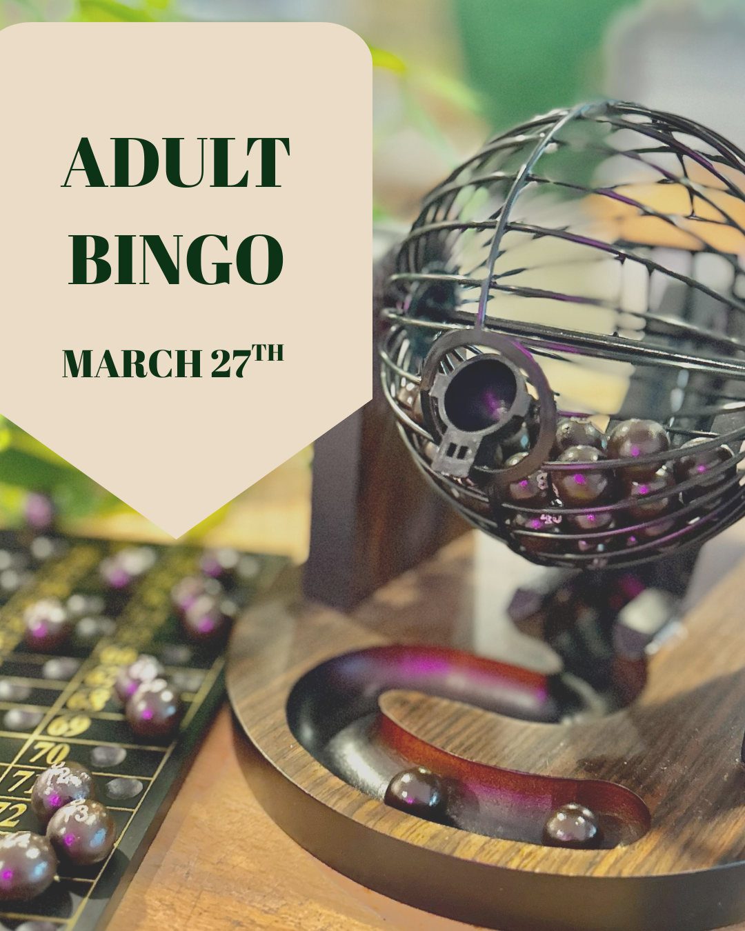Bingo Night - Adults Only