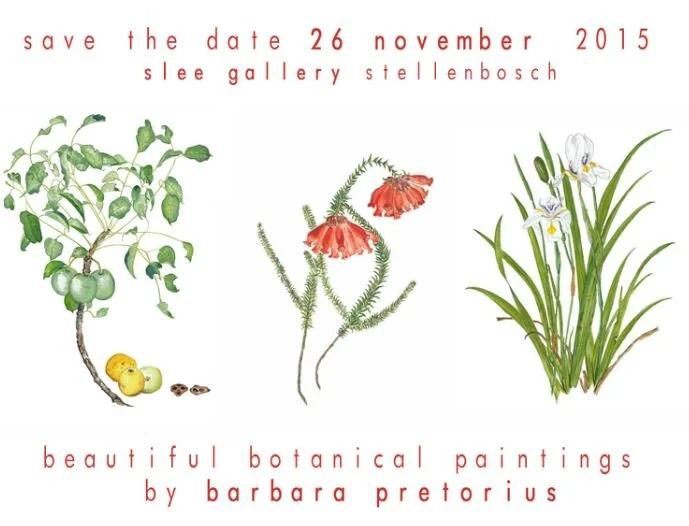 Beautiful Botanicals - Barbara Pretorius