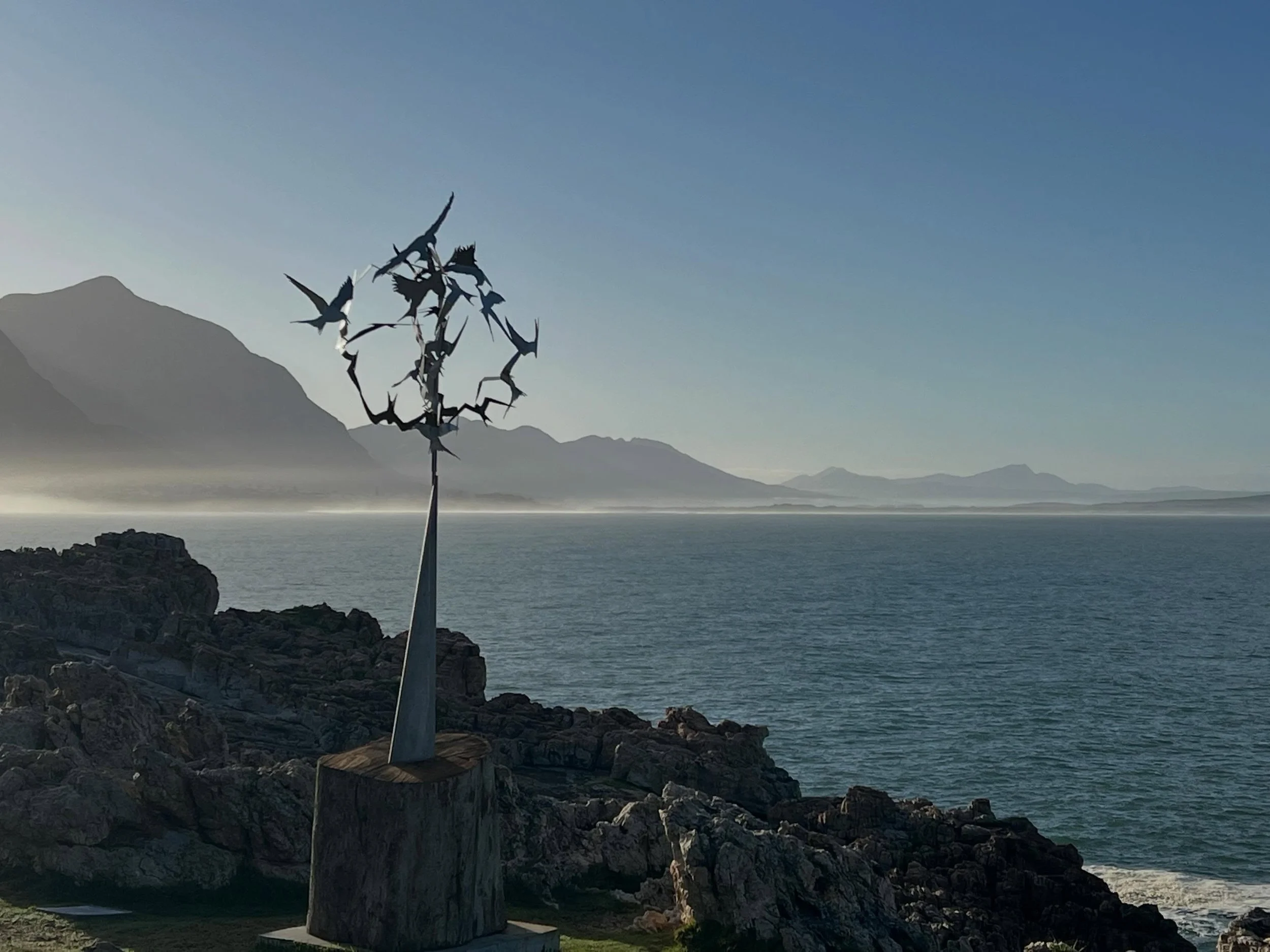Participating in Sculpture on the Cliffs -Hermanus Fine Arts 2026  #hermanus  #hermanusfineartsfestival  #upflight #terns  #sculpture