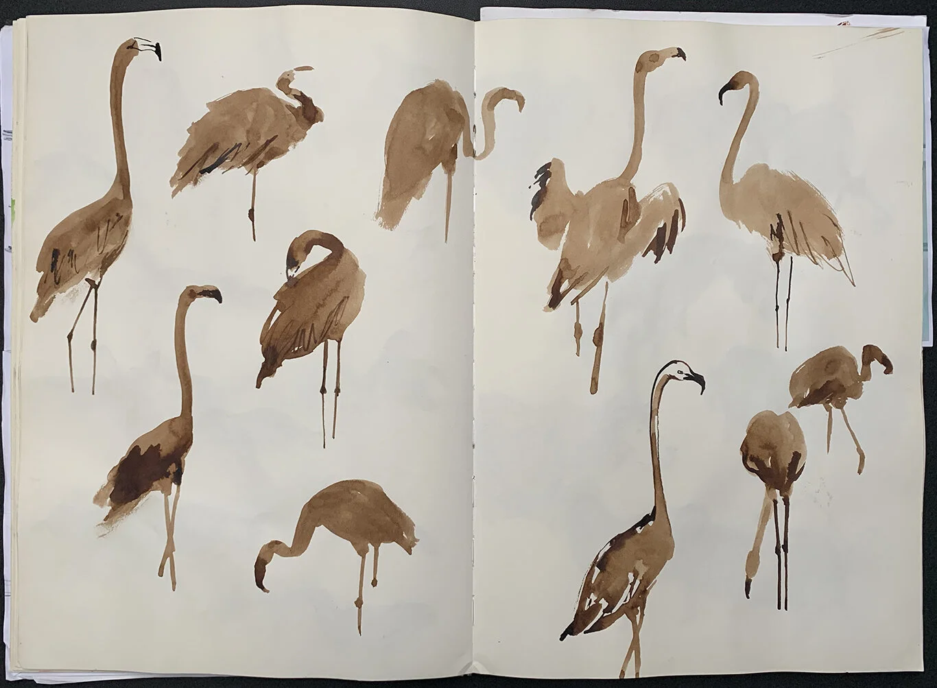 ilustrajo_sketchbook_a3_zoo25.jpg