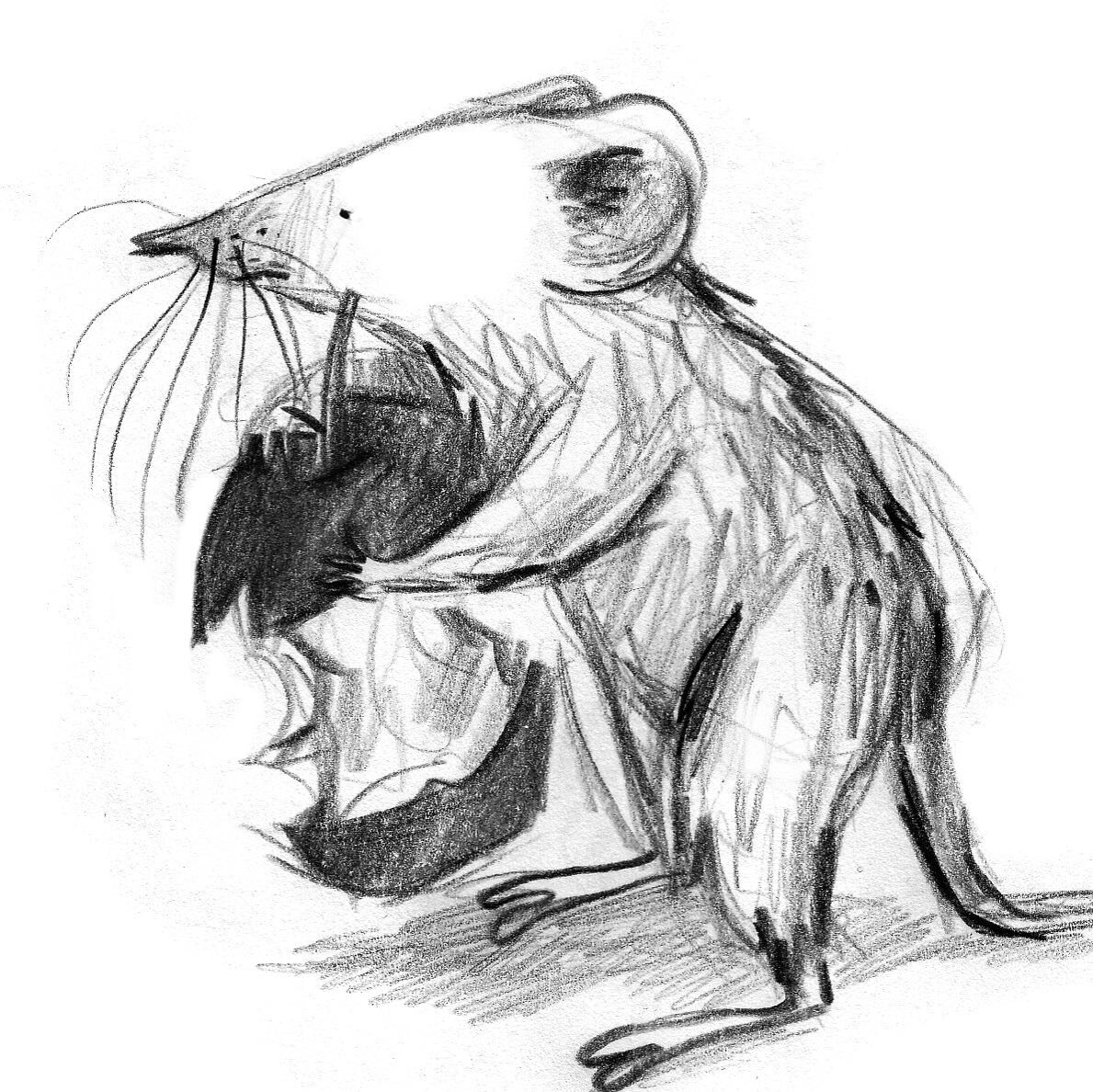 He was one of my very early sketches for my Unexpected Guests project. 🐭I did it during a lecture at @angliaruskin (my lecture notes are full of doodles! Even in high school my notes had more drawings than words&hellip;😅) 
Did you doodle in class? 