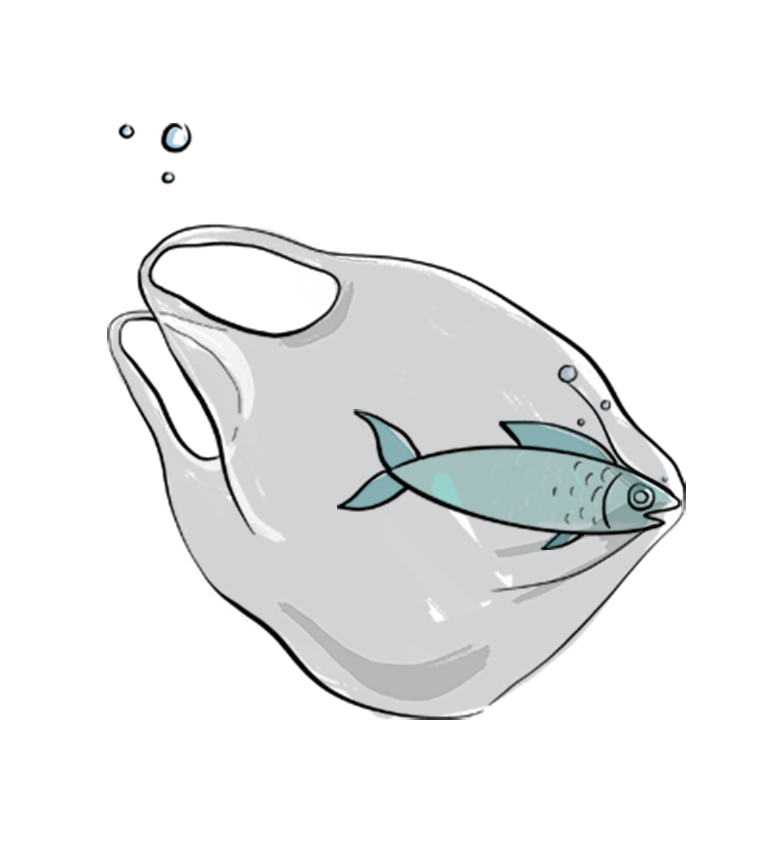 SDG14_item5_L.png
