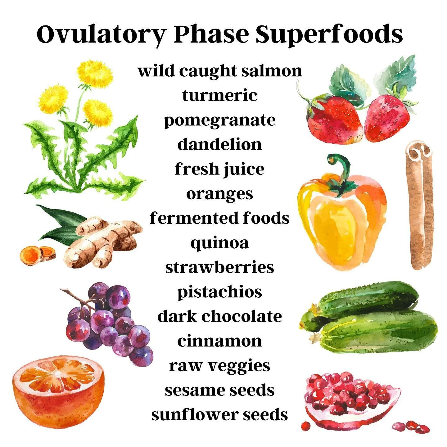 Ovulatory Phase Superfoods ~

At the peak of your cycle, look to fresh, fertility-enhancing foods to help you feel your best.

Here are some of my top foods for nourishing the ovulatory phase!

☀️