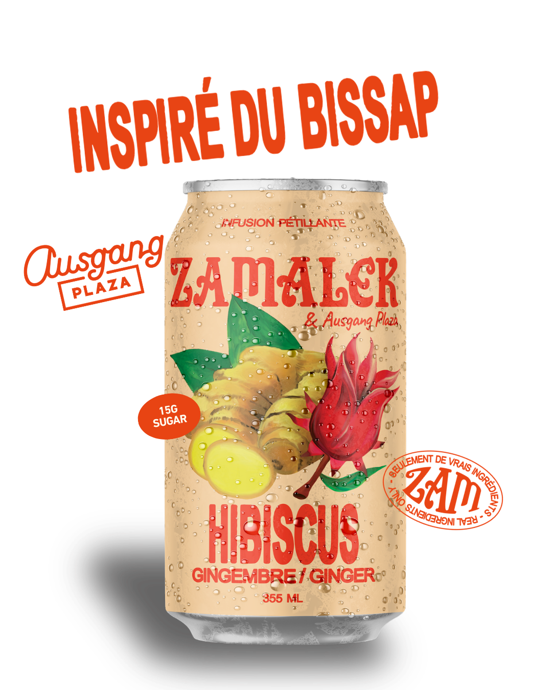 Hibiscus Gingembre Pétillant