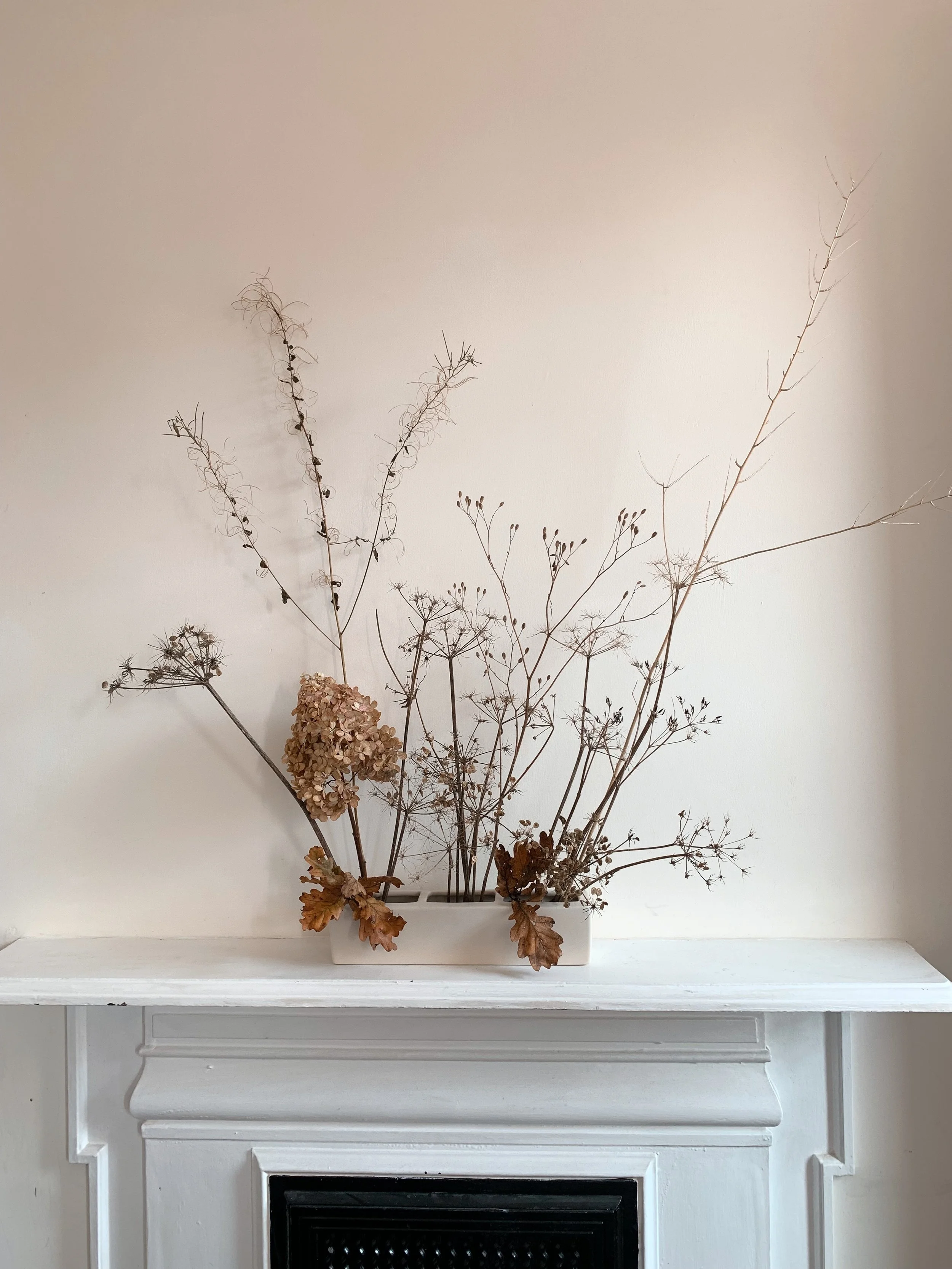 Sustainability 1.JPG