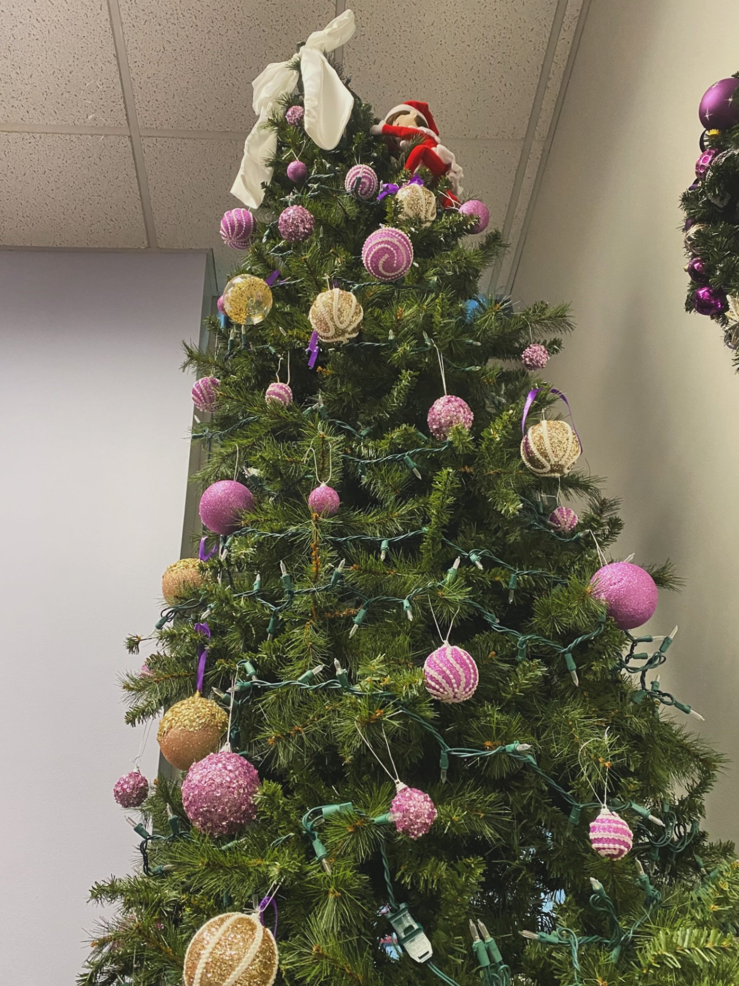 The ornaments were hung on the tree with care,
In hopes that Tendu The Elf would be found somewhere

What is Tendu The Elf up to now?!? Help us find her at the studio!
